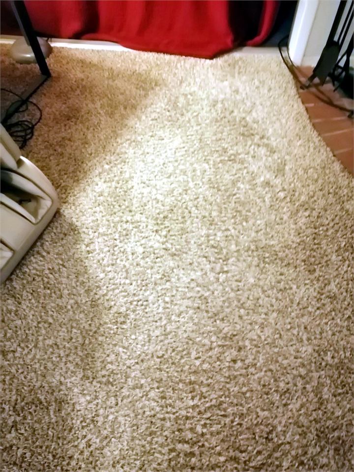 Freshly cleaned beige carpet showing light and dark stripes left by the wand