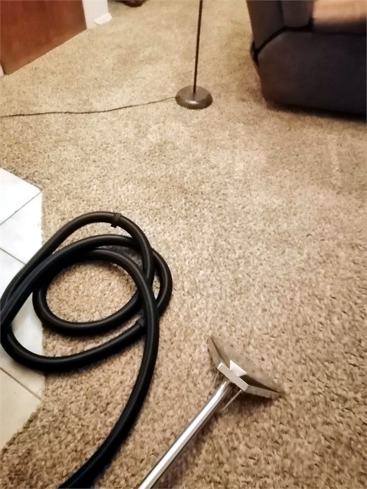 Stainless cleaning wand and hose lying on a living room carpet partway through a job